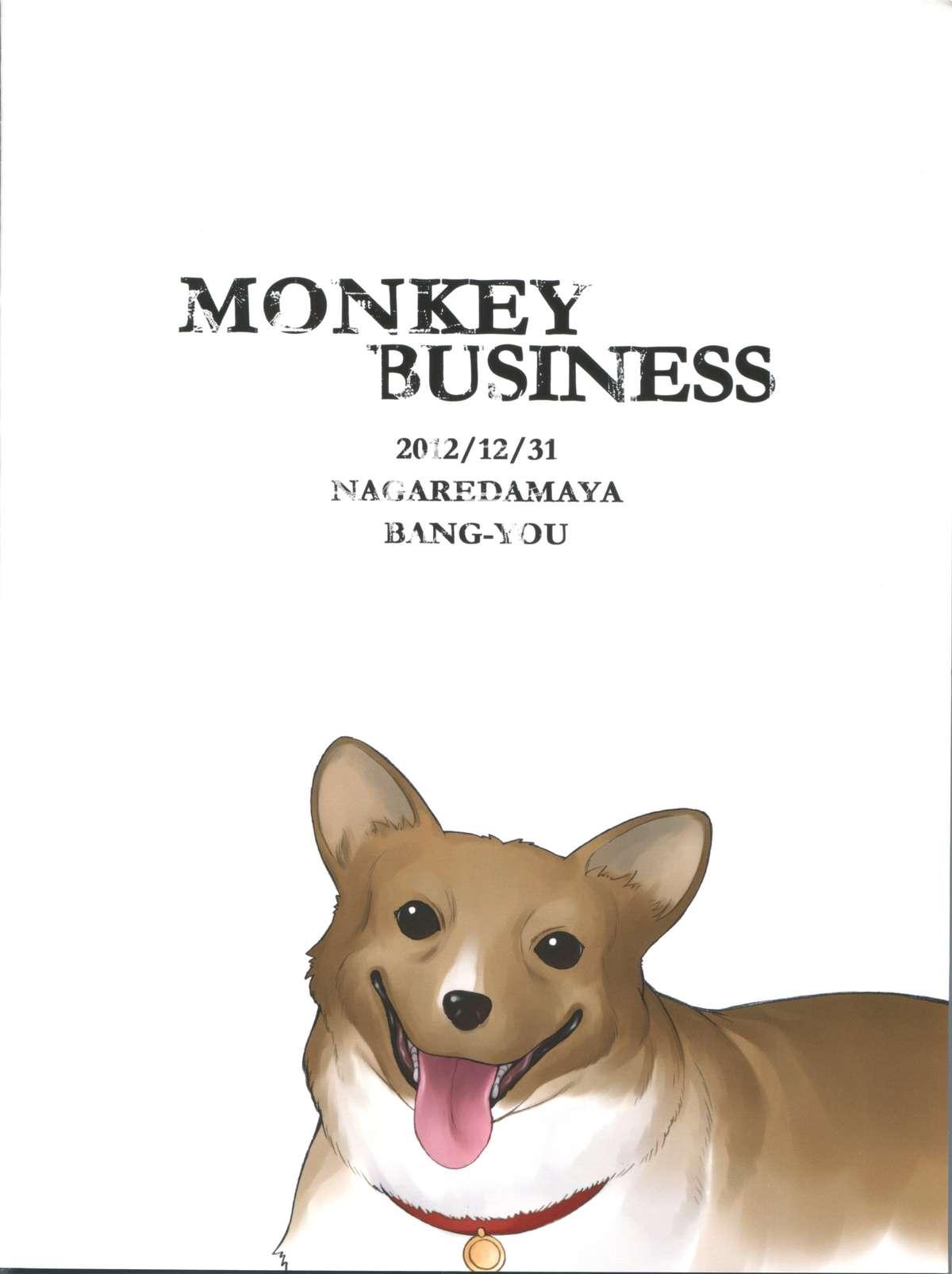 Monkey Business 17