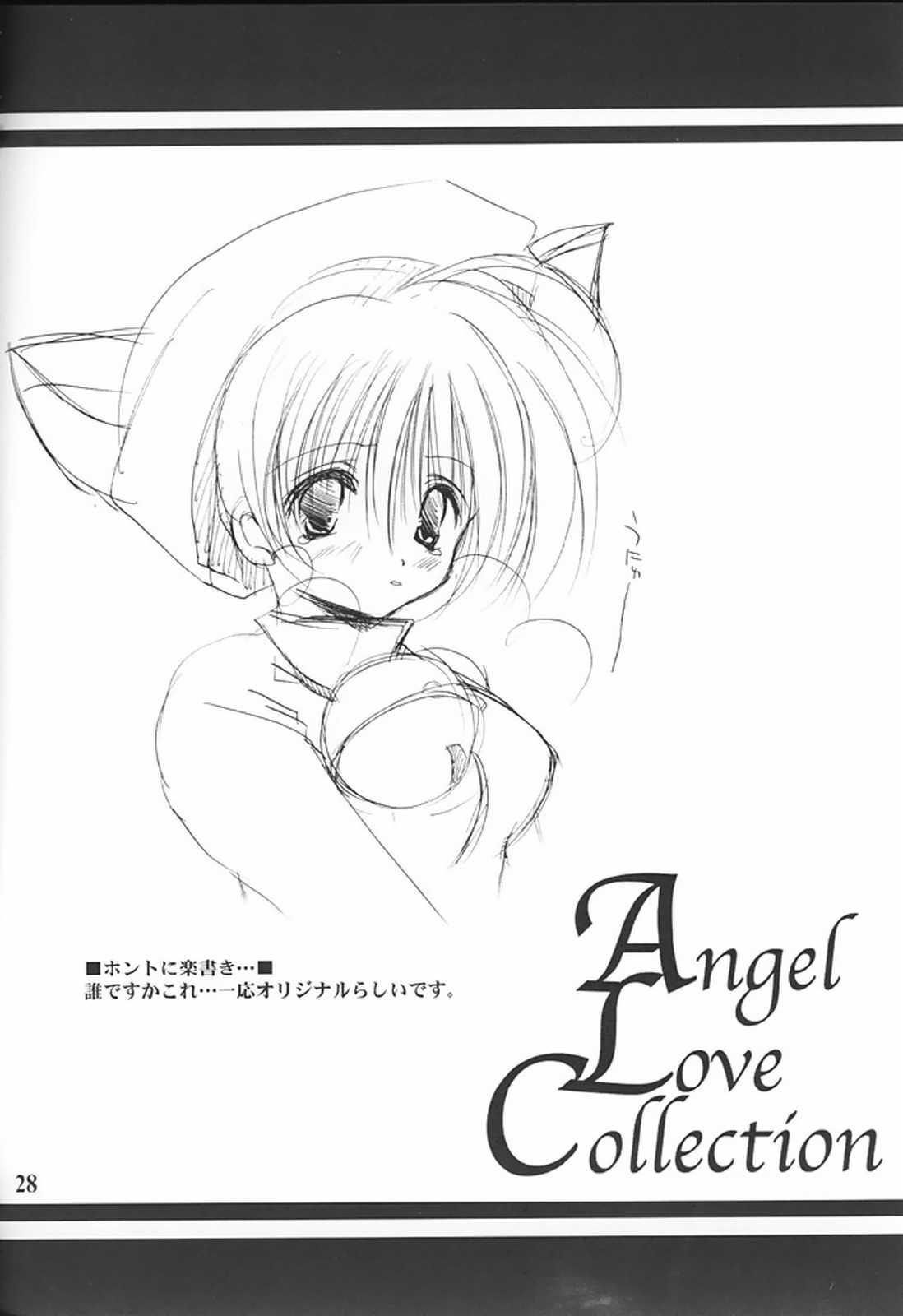 Angel Love Collection 27