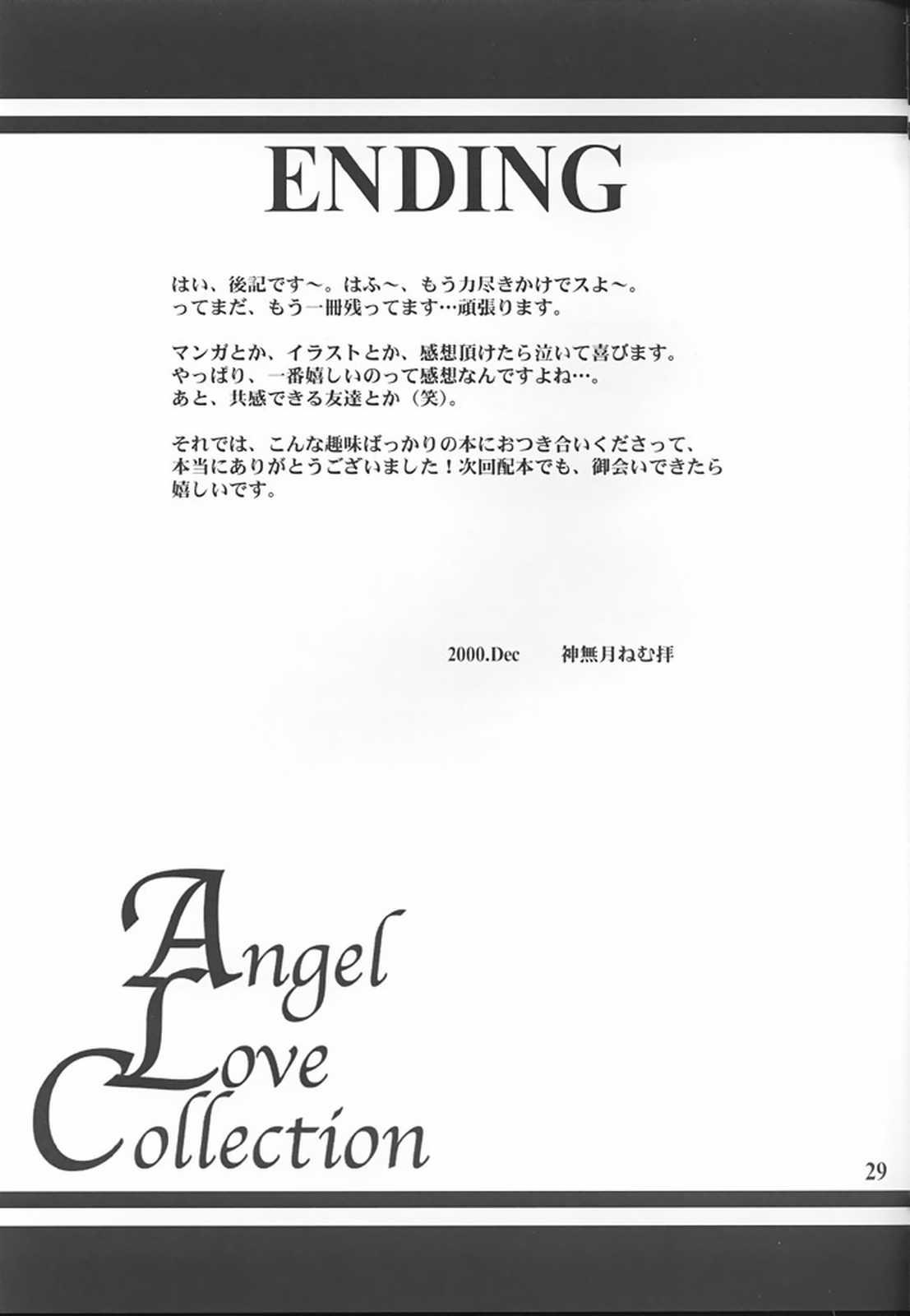 Angel Love Collection 28