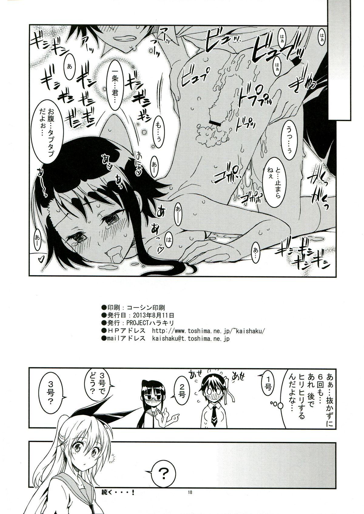 Freak Nisenisekoi 2 - Nisekoi Bucetuda - Page 18