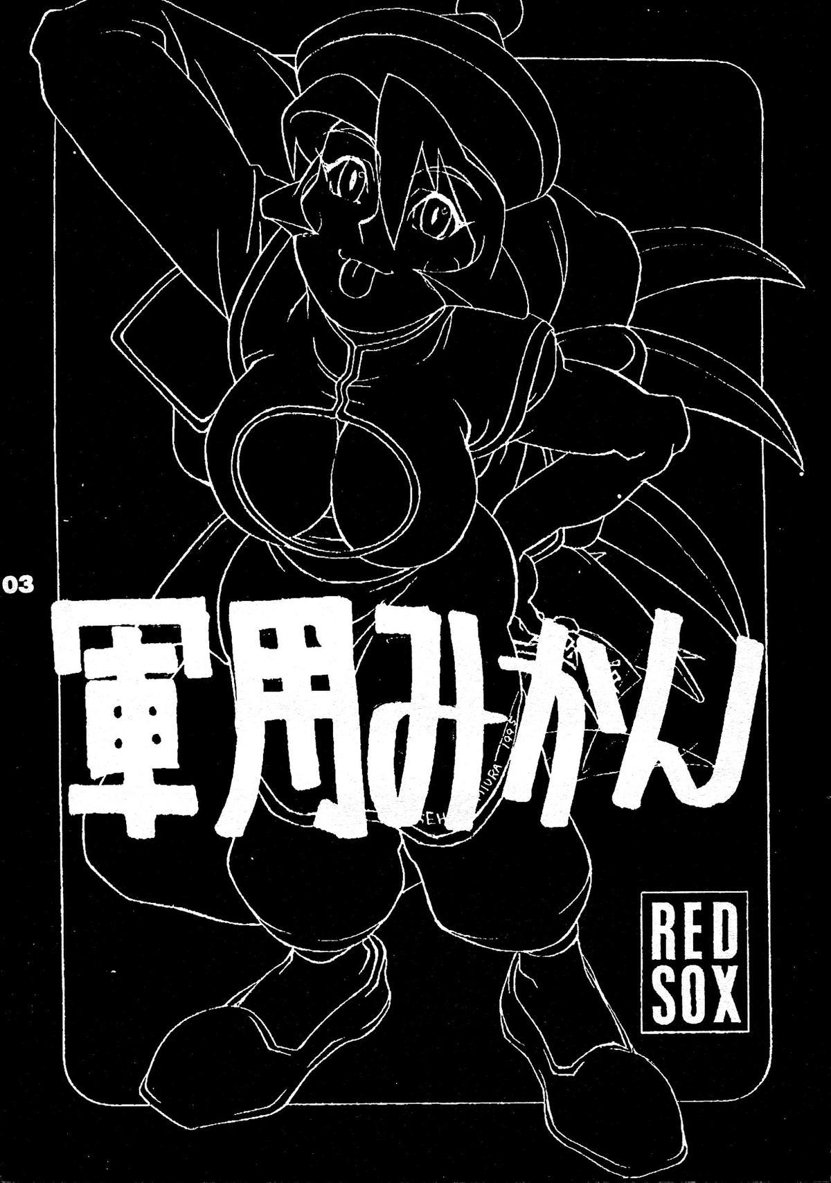 Stepson REDSOX VOL.5 "Gunyou Mikan" - Darkstalkers Longhair - Page 3