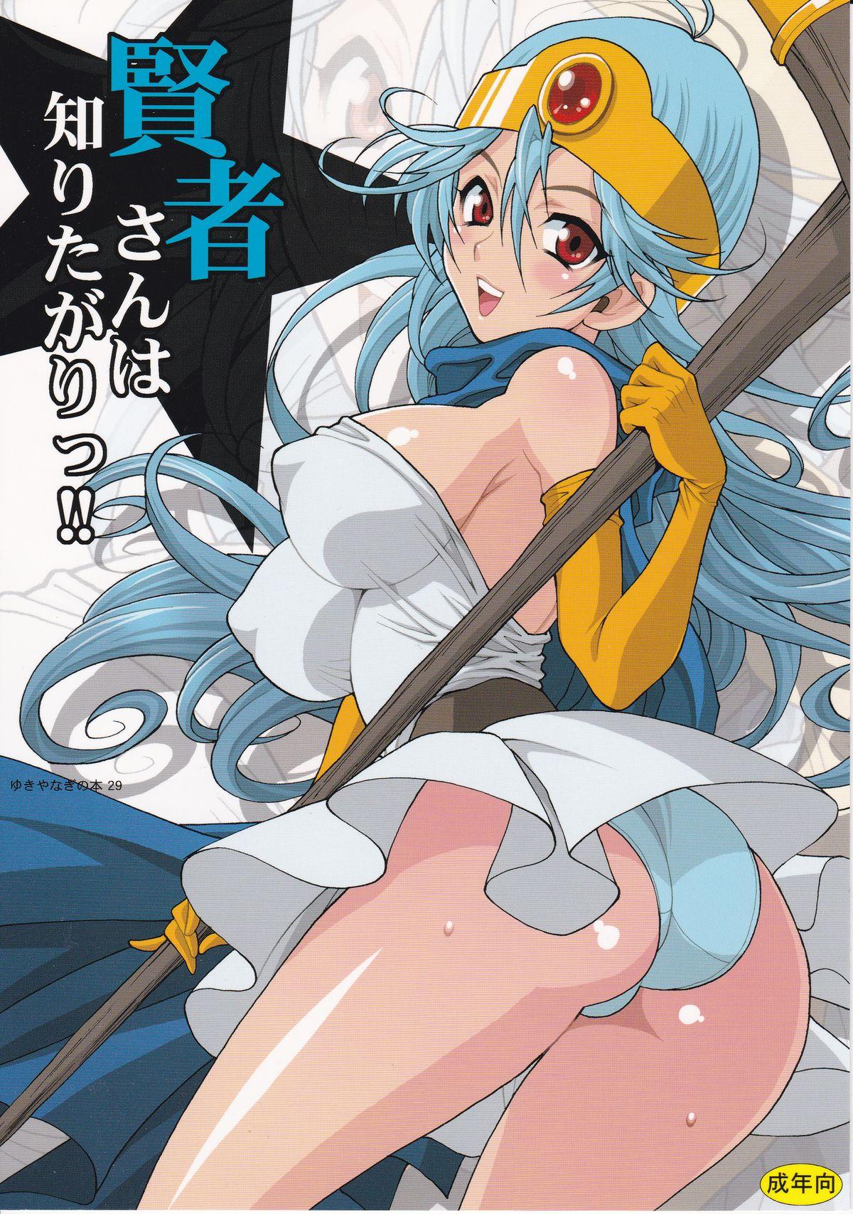 (C82) [SHALLOT COCO (Yuki Yanagi)] Yuki Yanagi no Hon 29 - Kenja-san wa Shiritagari! | Yanagi Vol.29 - The Curious Sage (Dragon Quest III) [English] [Tigoris Translates] 0