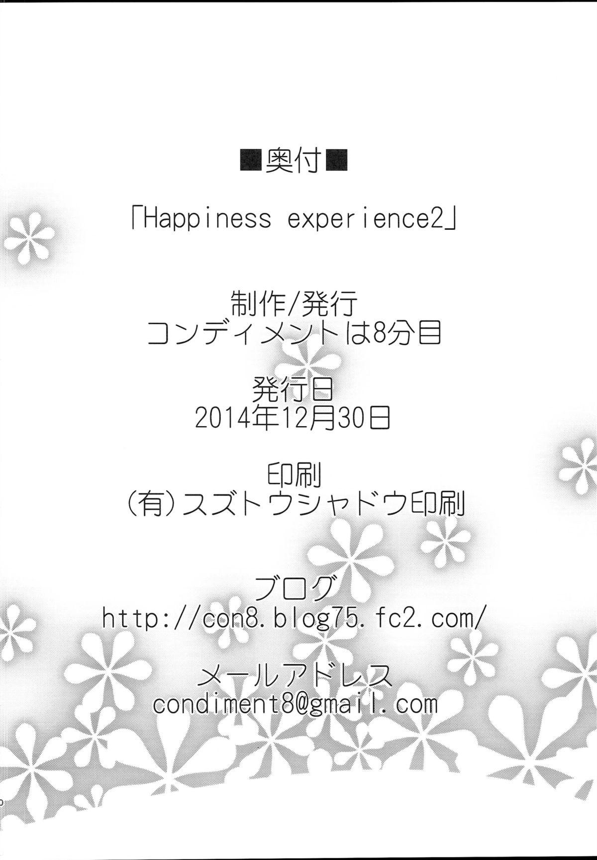 Happiness experience2 28
