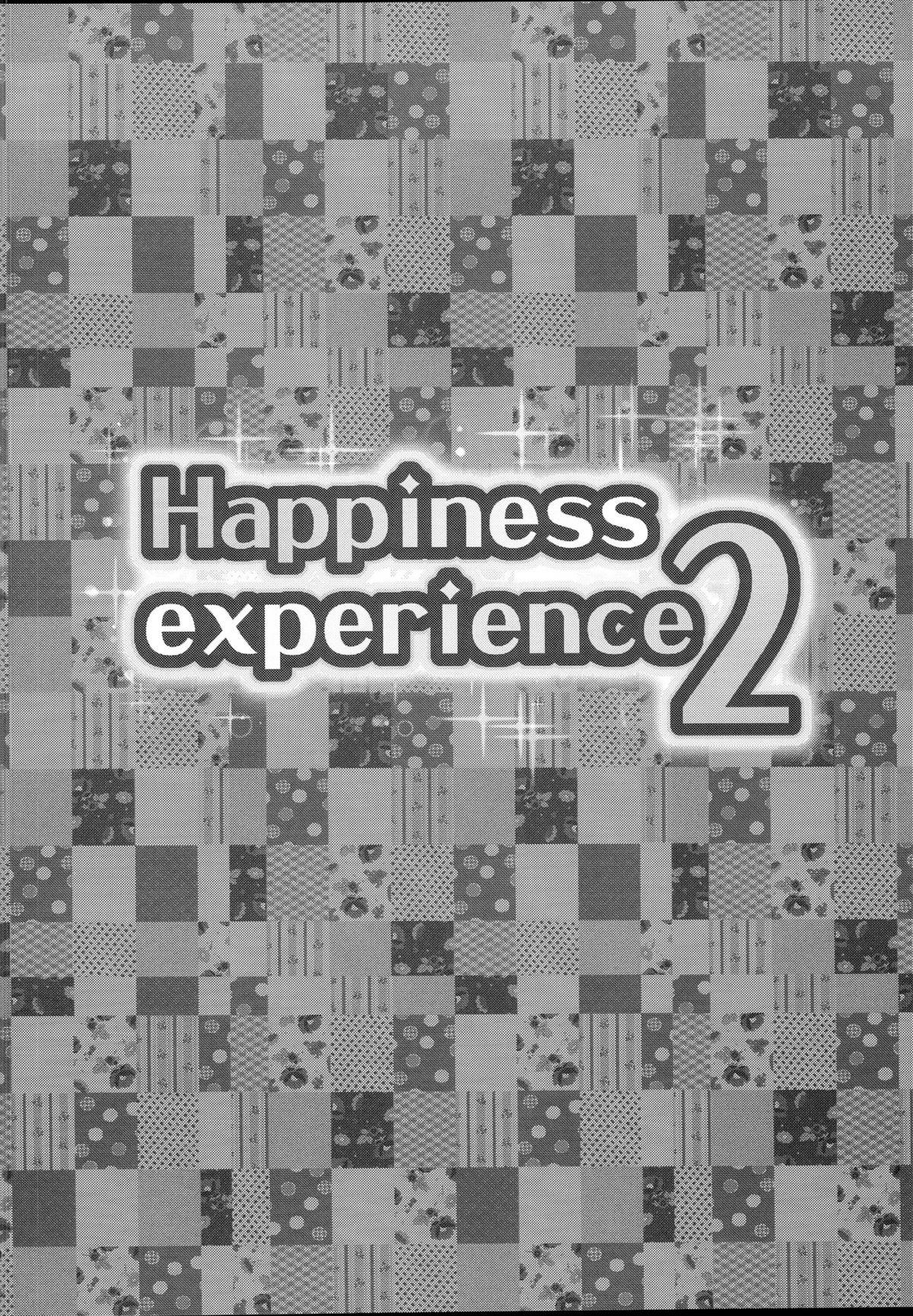 Happiness experience2 2