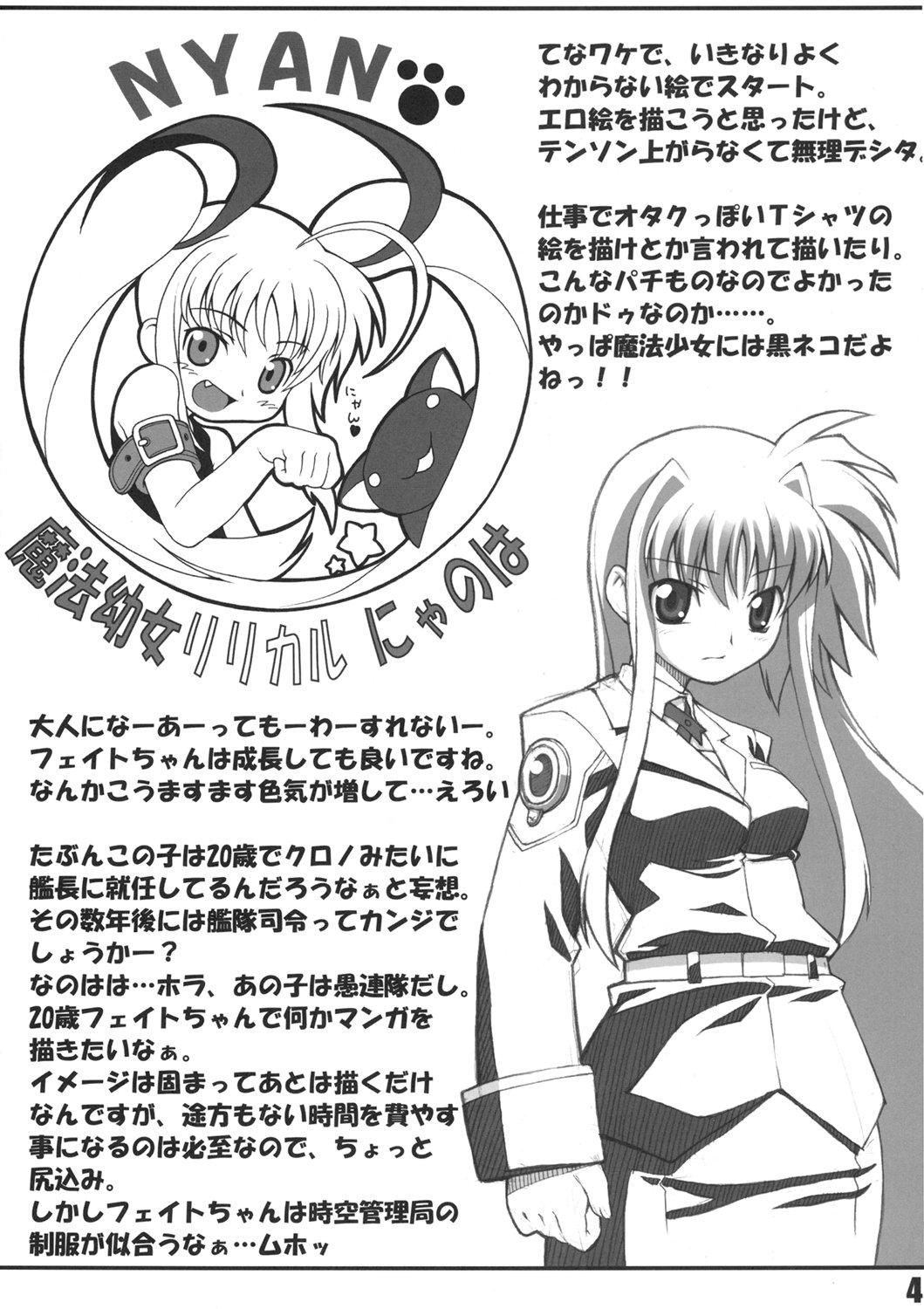 Cop Lyrical Fate - Mahou shoujo lyrical nanoha Perfect - Page 3