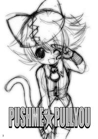 PUSHME:PULLYOU 2