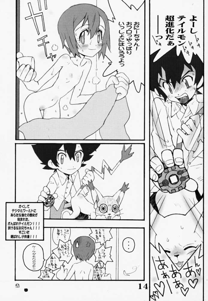 Lolicon DIGIMON QUEEN 01 - Digimon adventure Vibrator - Page 13