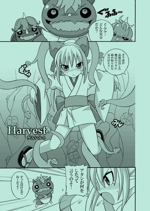 harvest 1