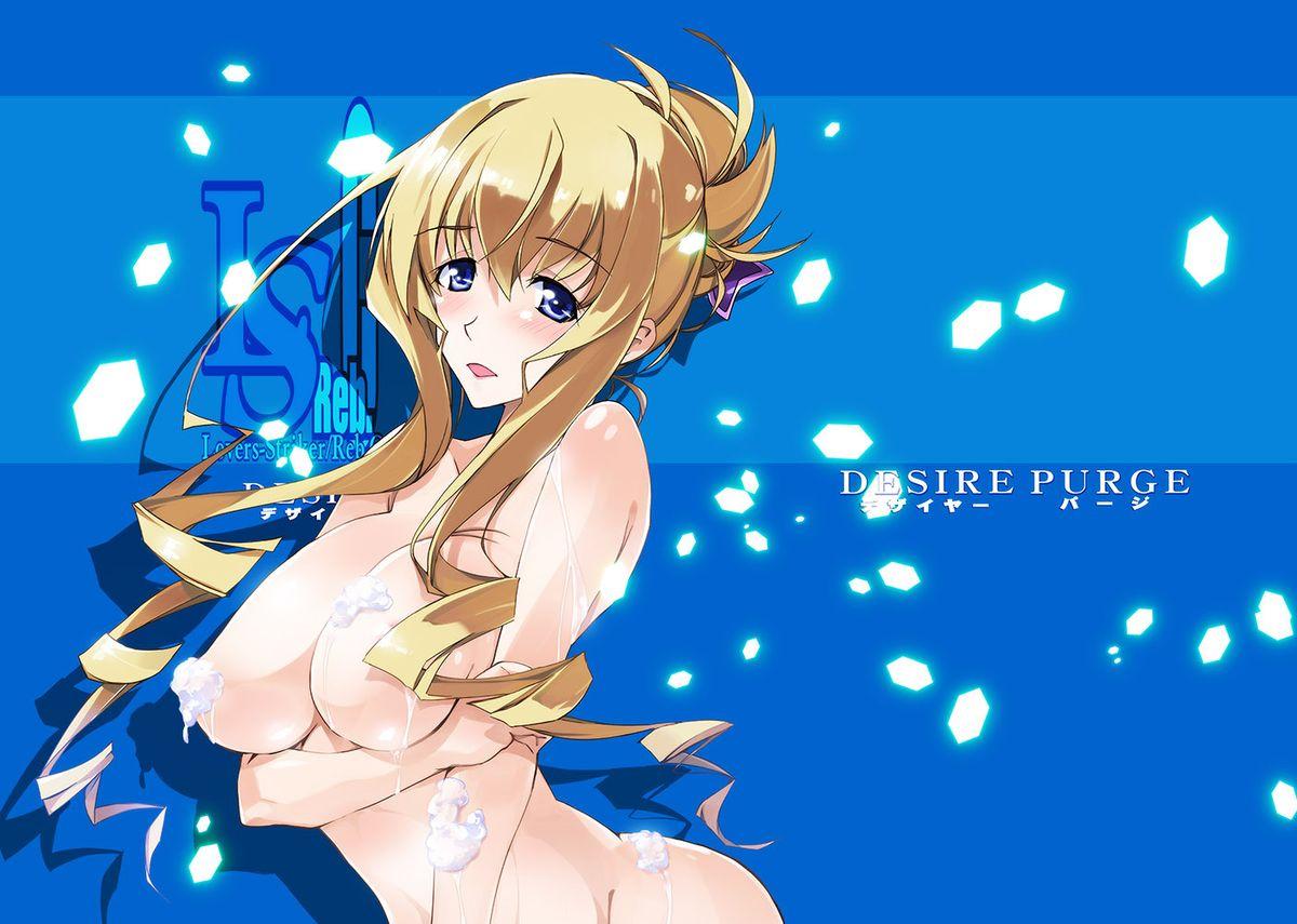 Thylinh Desire Purge - Infinite stratos Perfect - Picture 1