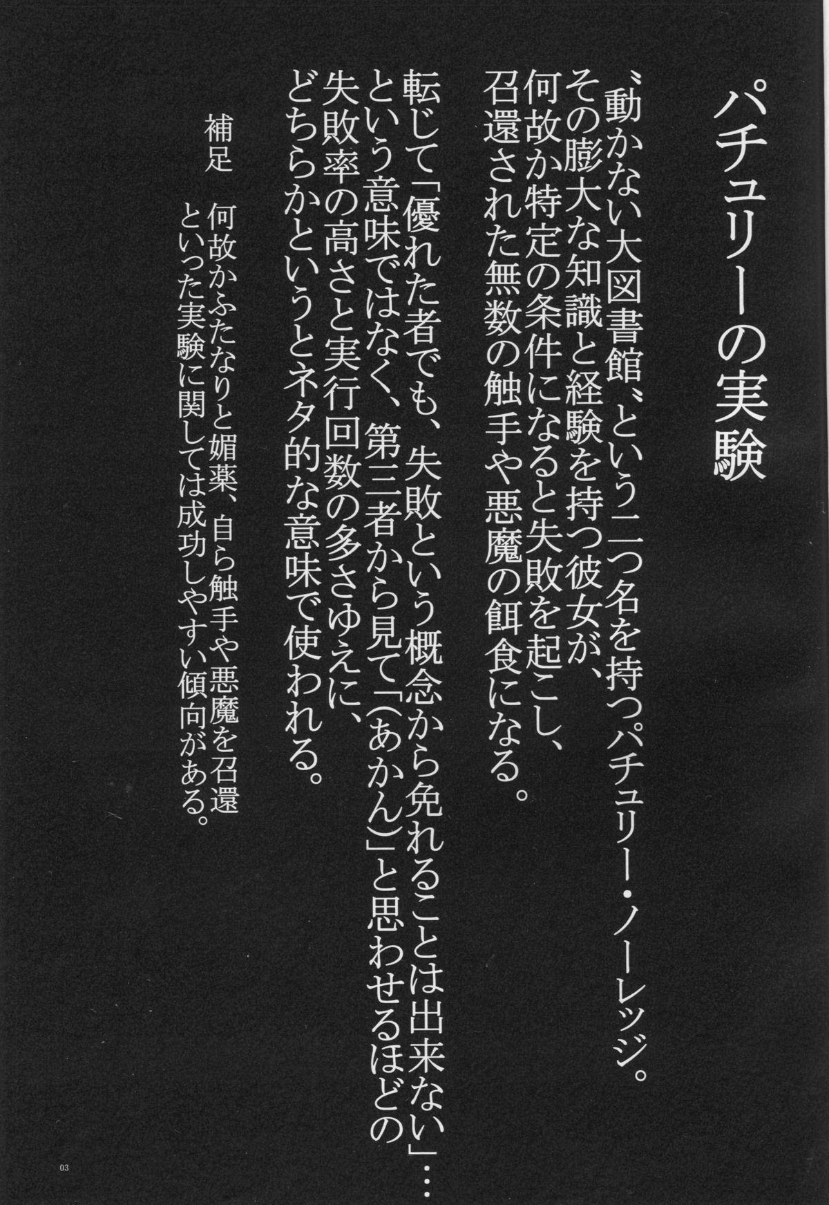 Coroa Patche Sanzan - Touhou project Fudendo - Page 2
