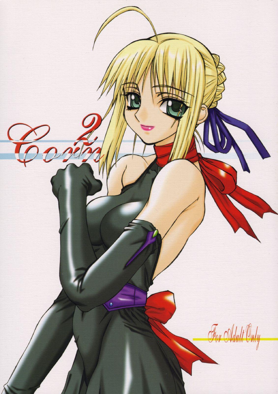 Bisexual Corn 2 - Fate stay night Stockings - Page 1