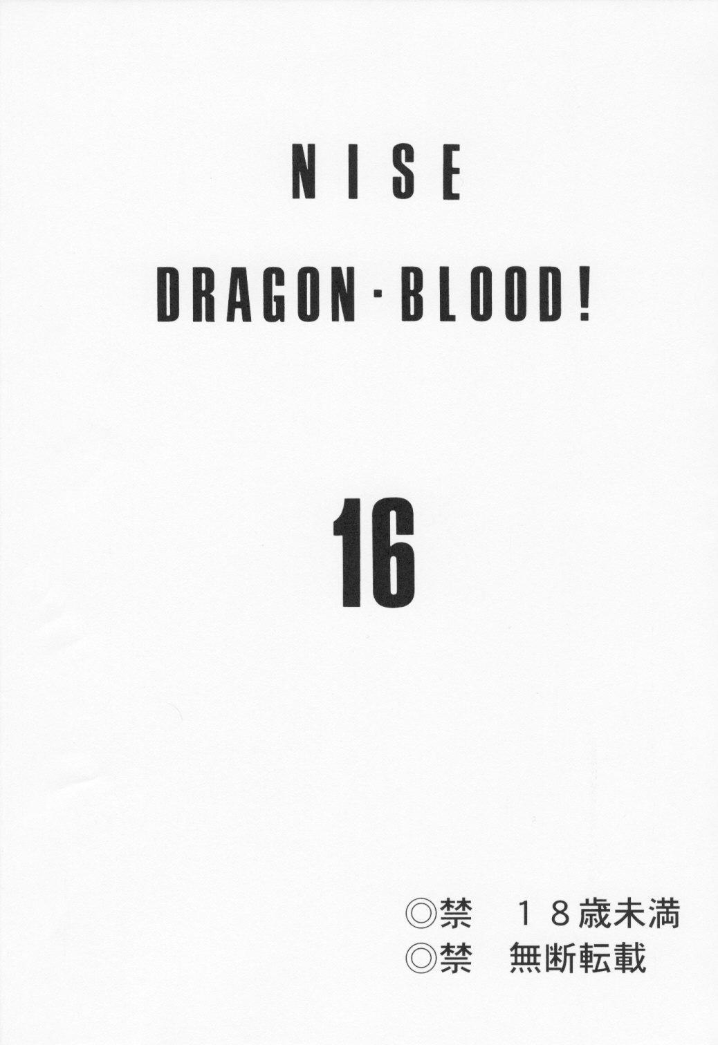 NISE Dragon Blood! 16 2
