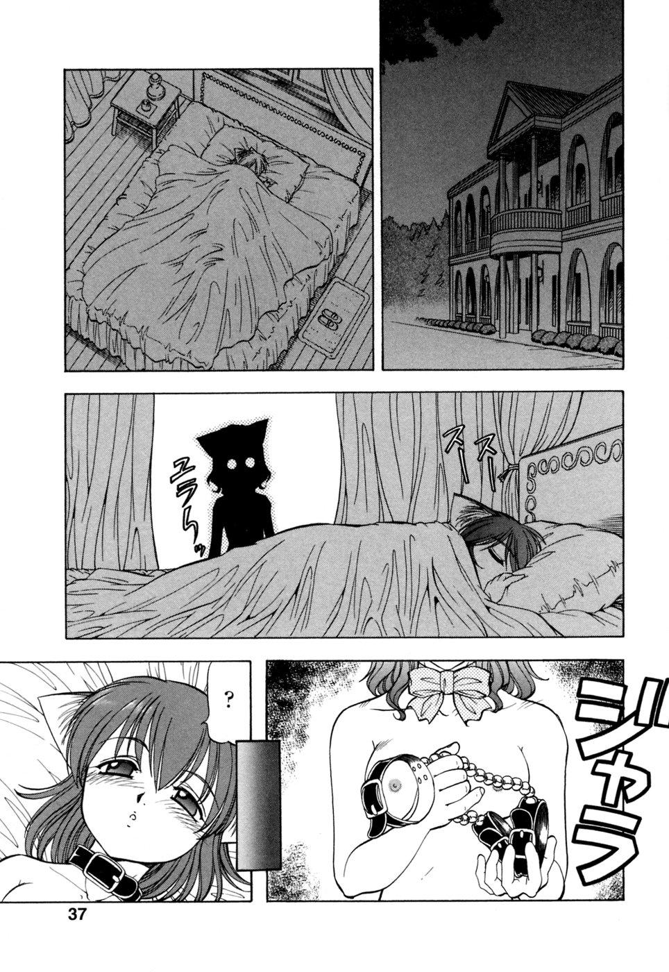 Mesu Neko - Maid Cats Story 39