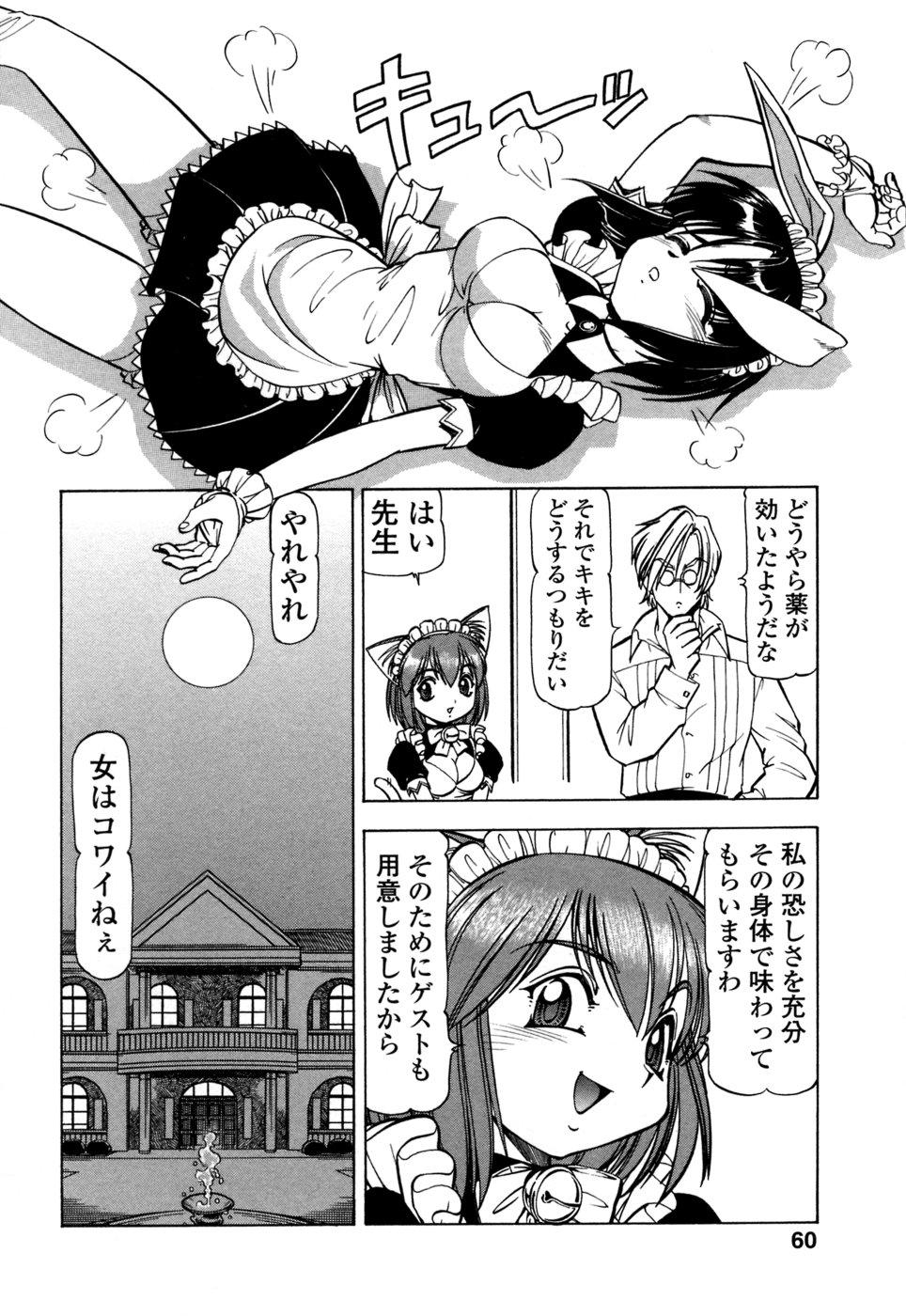 Mesu Neko - Maid Cats Story 61
