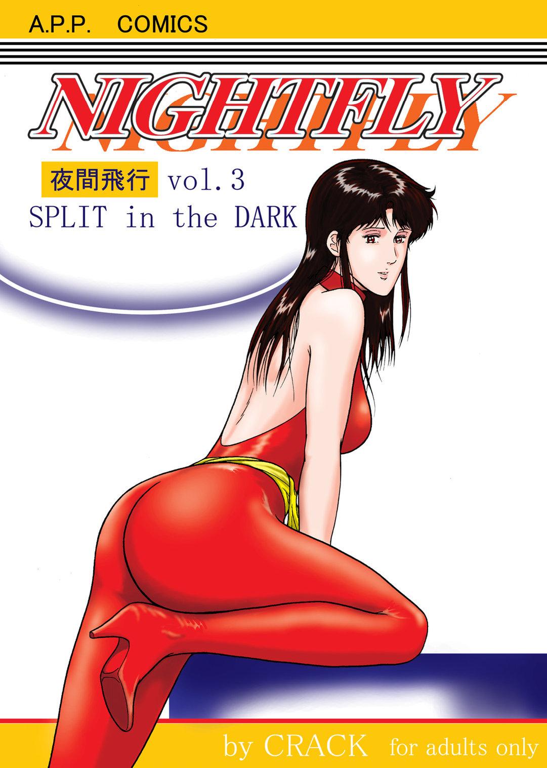 NIGHTFLY vol.3 SPLIT in the DARK 0