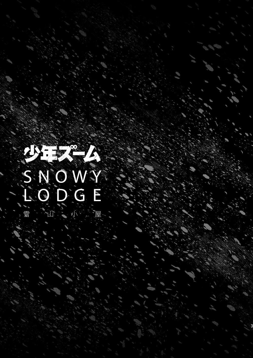SNOWY LODGE 3