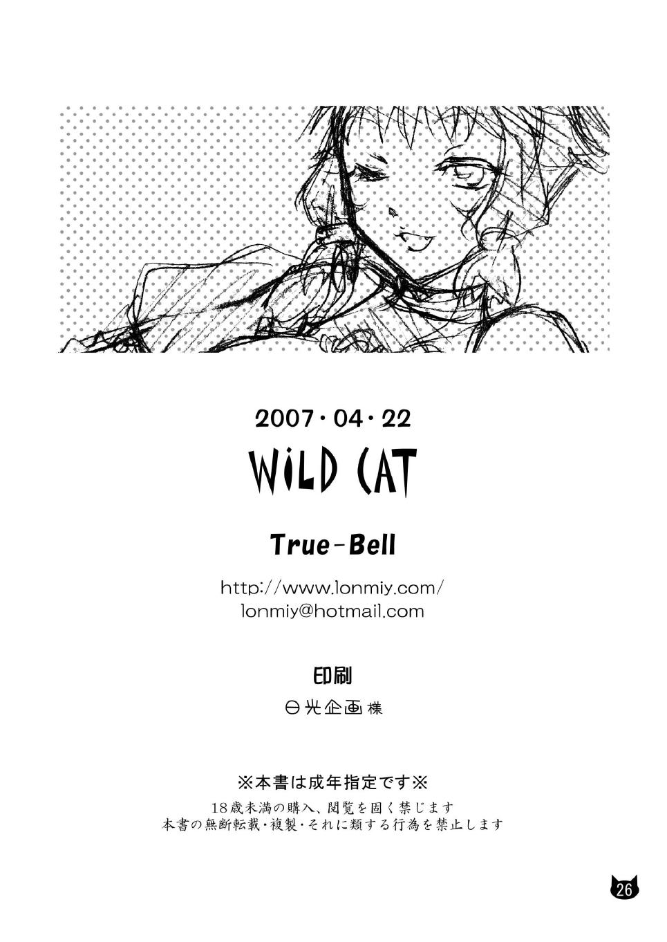 Wild Cat 26