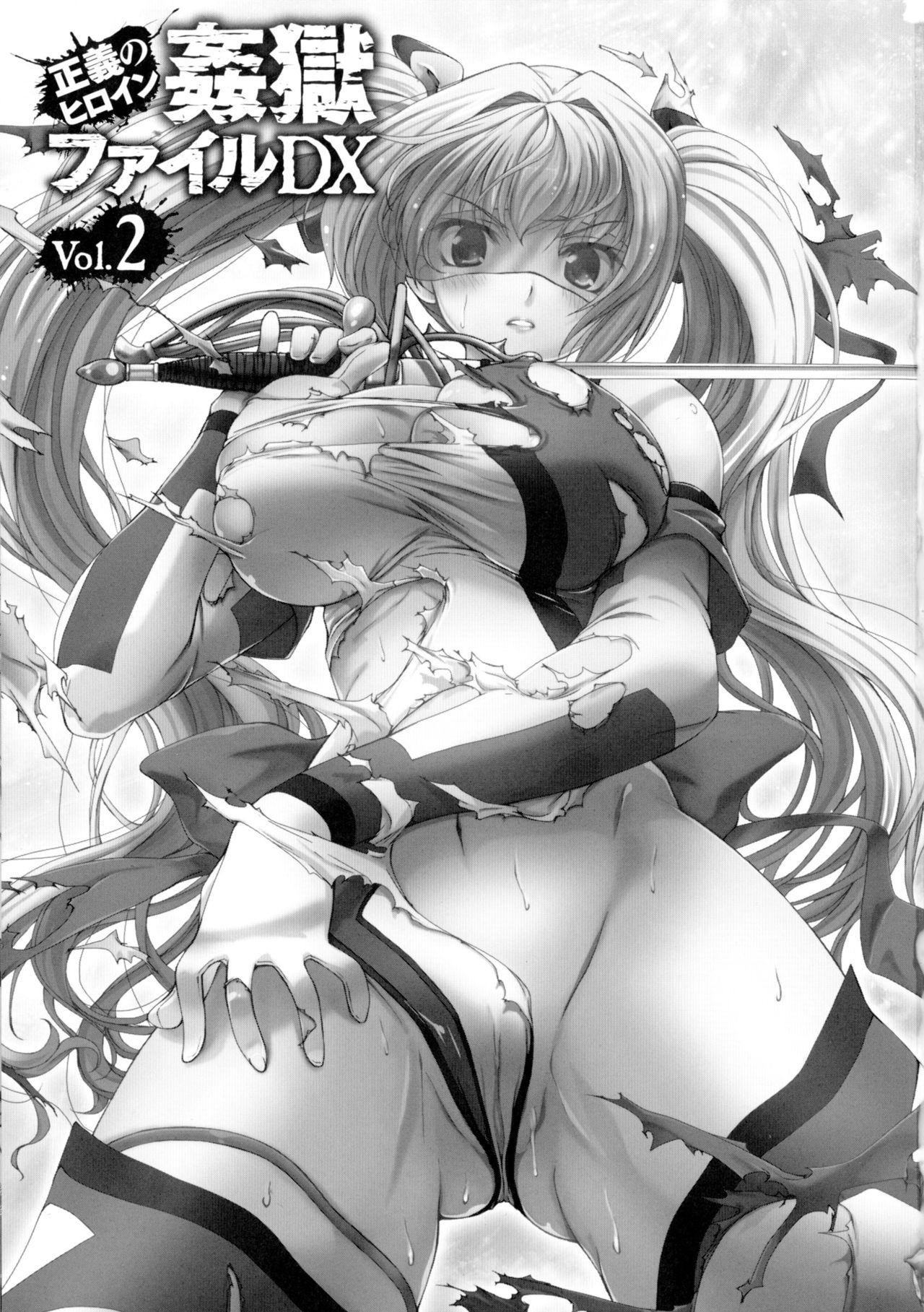 Seigi no Heroine Kangoku File DX Vol. 2 2