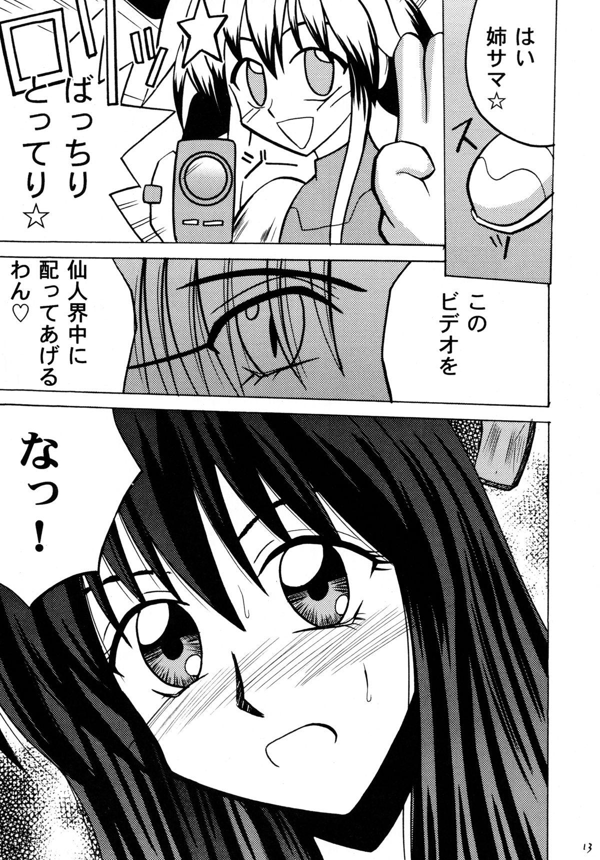 Milf Koushu Ryoujoku - Houshin engi Anime - Page 13