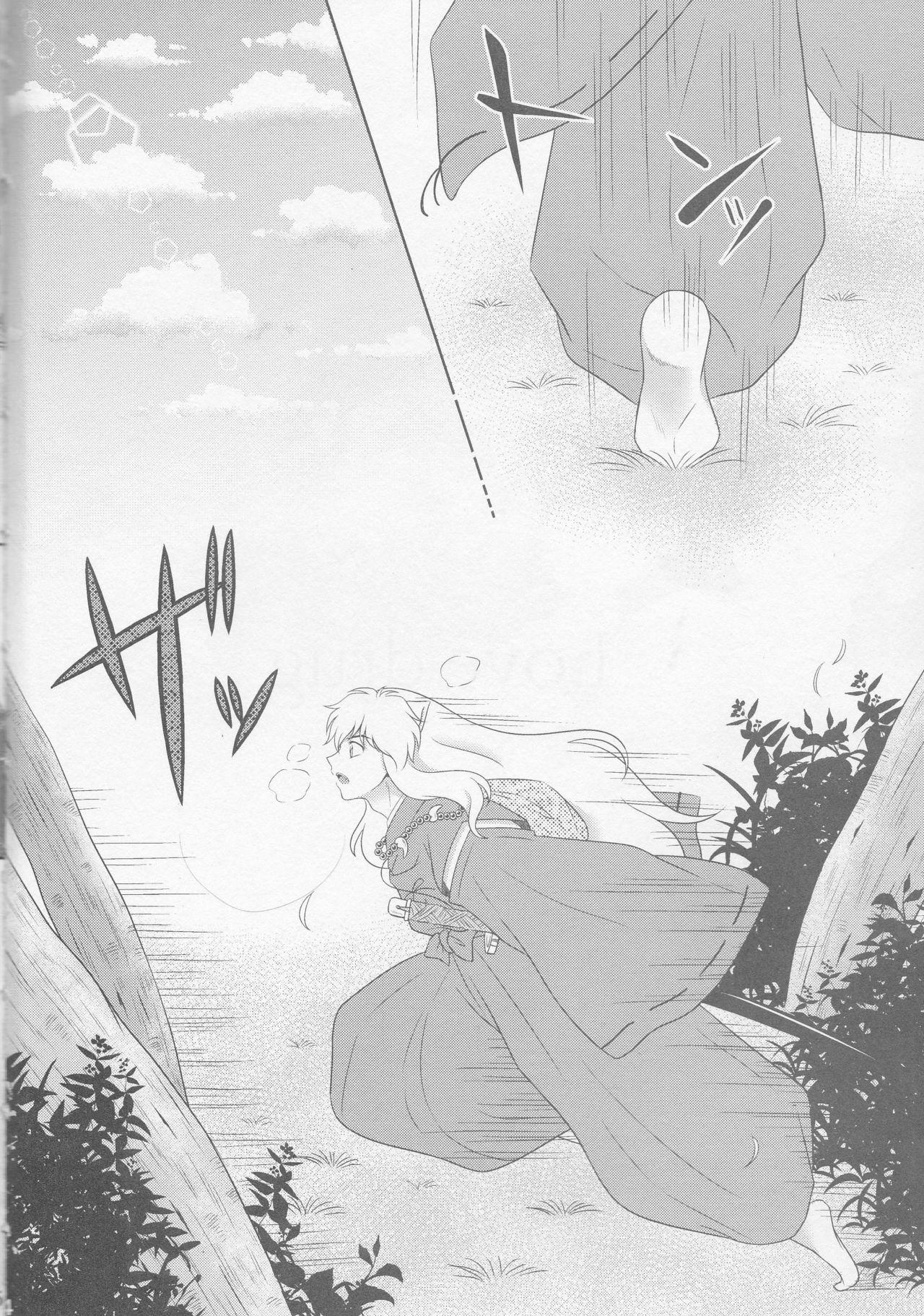 Mexicano Koi Gusuri - Love drug - Inuyasha Animated - Page 4