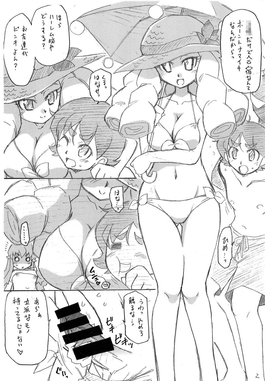 Rough Porn Himeplex - Happinesscharge precure Family Taboo - Page 4