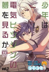 Shounen wa Denki Hitsujin no Yume o Miru ka Vol. 2 1
