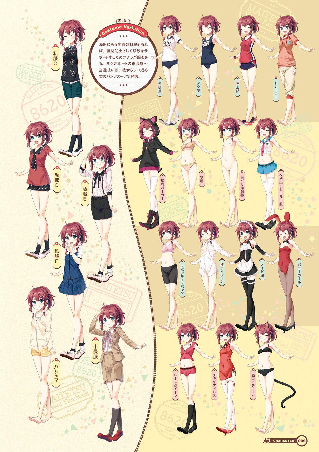 Maitetsu Visual Fan Book 10