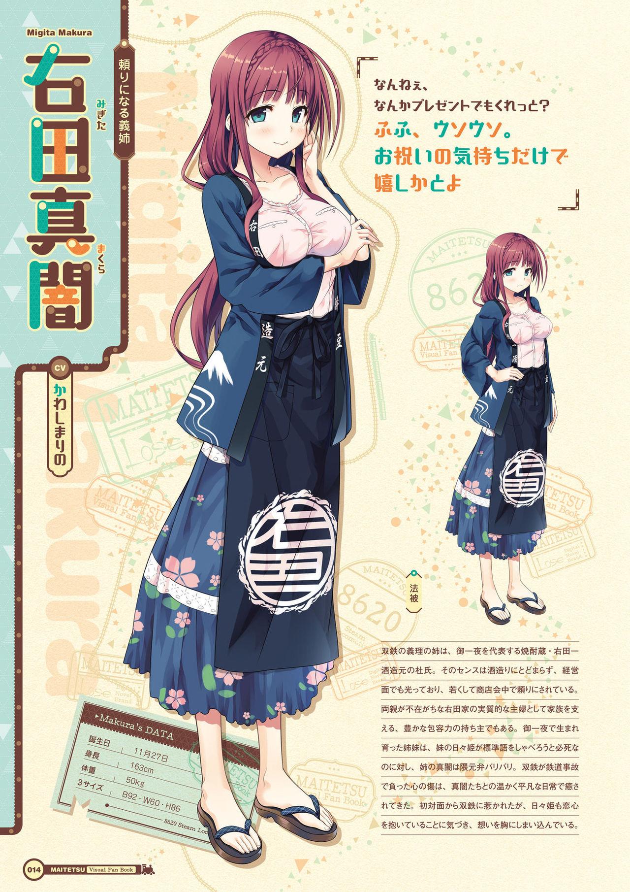 Maitetsu Visual Fan Book 15