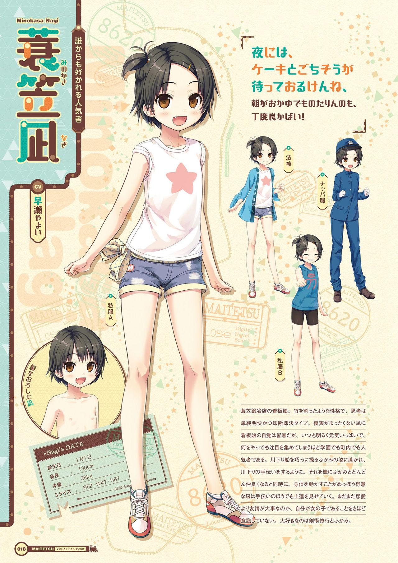 Maitetsu Visual Fan Book 19