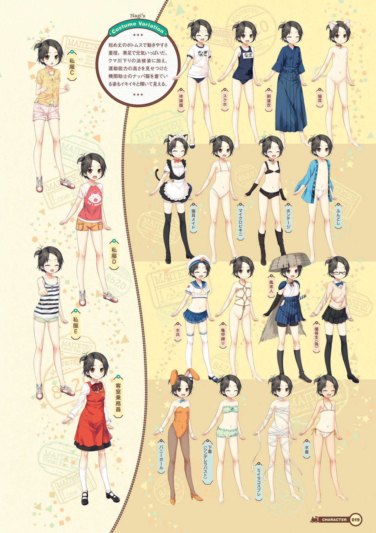 Maitetsu Visual Fan Book 20