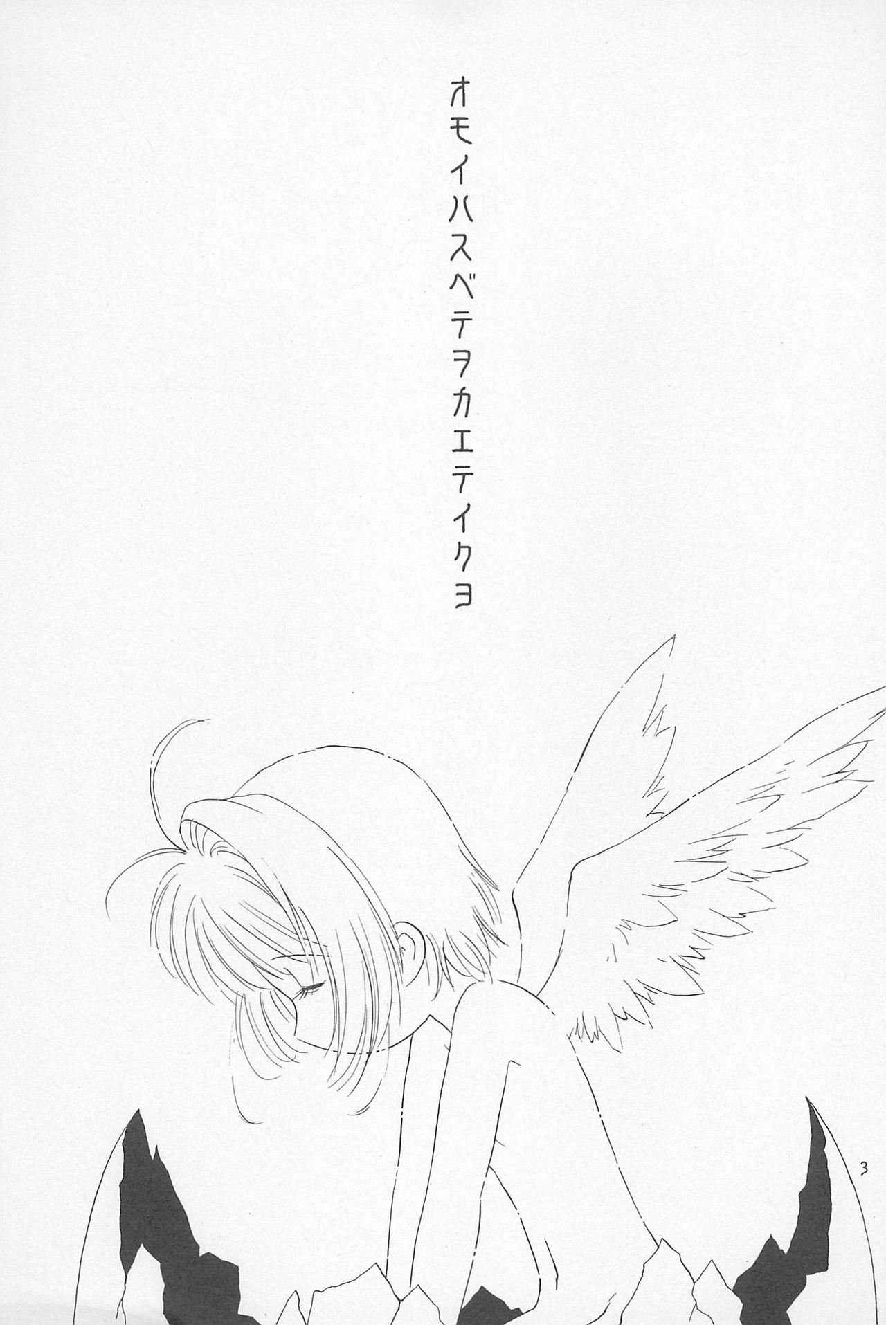 Bj Datte... 3 Seishokuya - Cardcaptor sakura Edging - Page 3