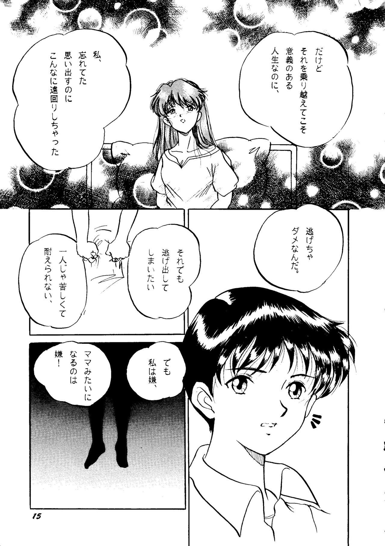 (C50) [Studio Boxer (Shima Takashi, Taka) HoHeTo 13 (Neon Genesis Evangelion) 13
