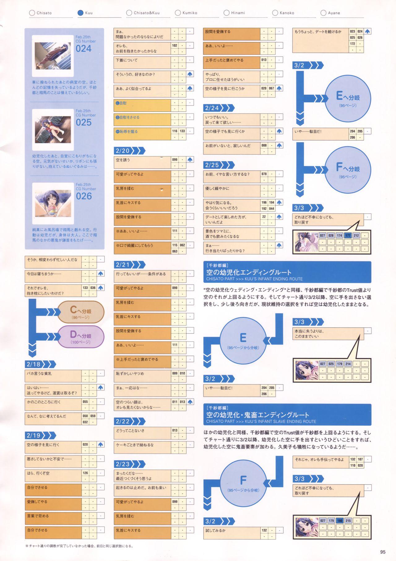 Natural 2 Duo Visual Fan Book 97