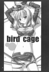 Bird Cage 1