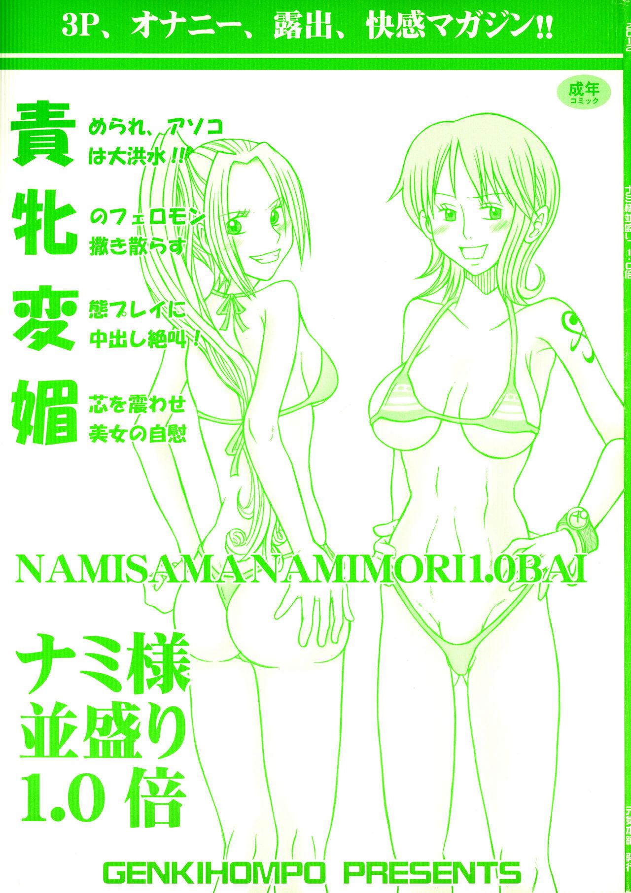(C83) [Genki Honpo (Saranoki Chikara)] Nami-sama Nami-mori 1.0-Bai (One Piece) 0