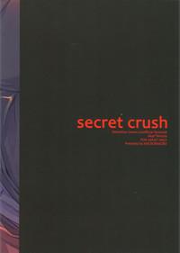 secret crush 2