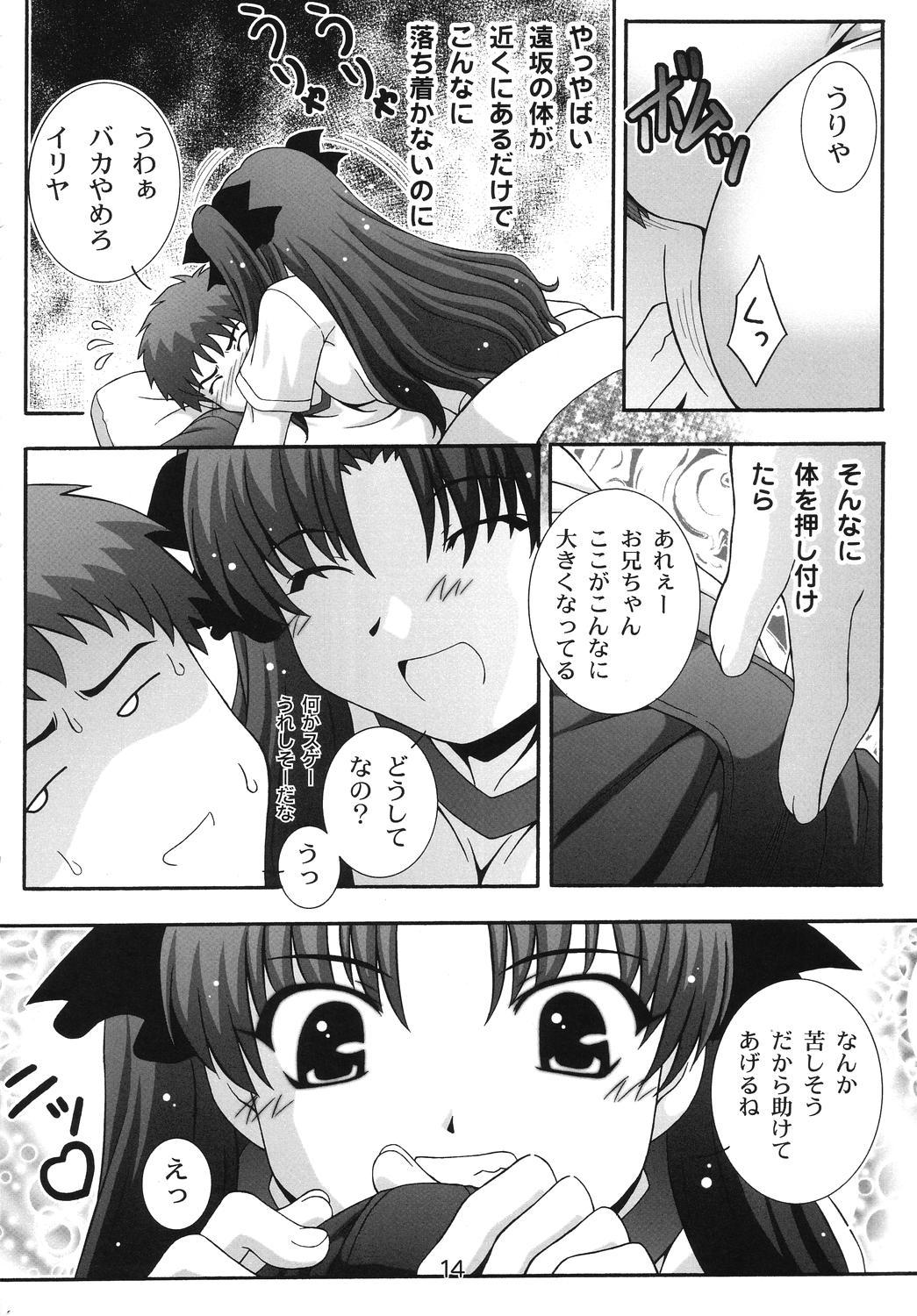 Homo SECRET FILE NEXT 11 - Fate is capricious - Fate stay night Korea - Page 13