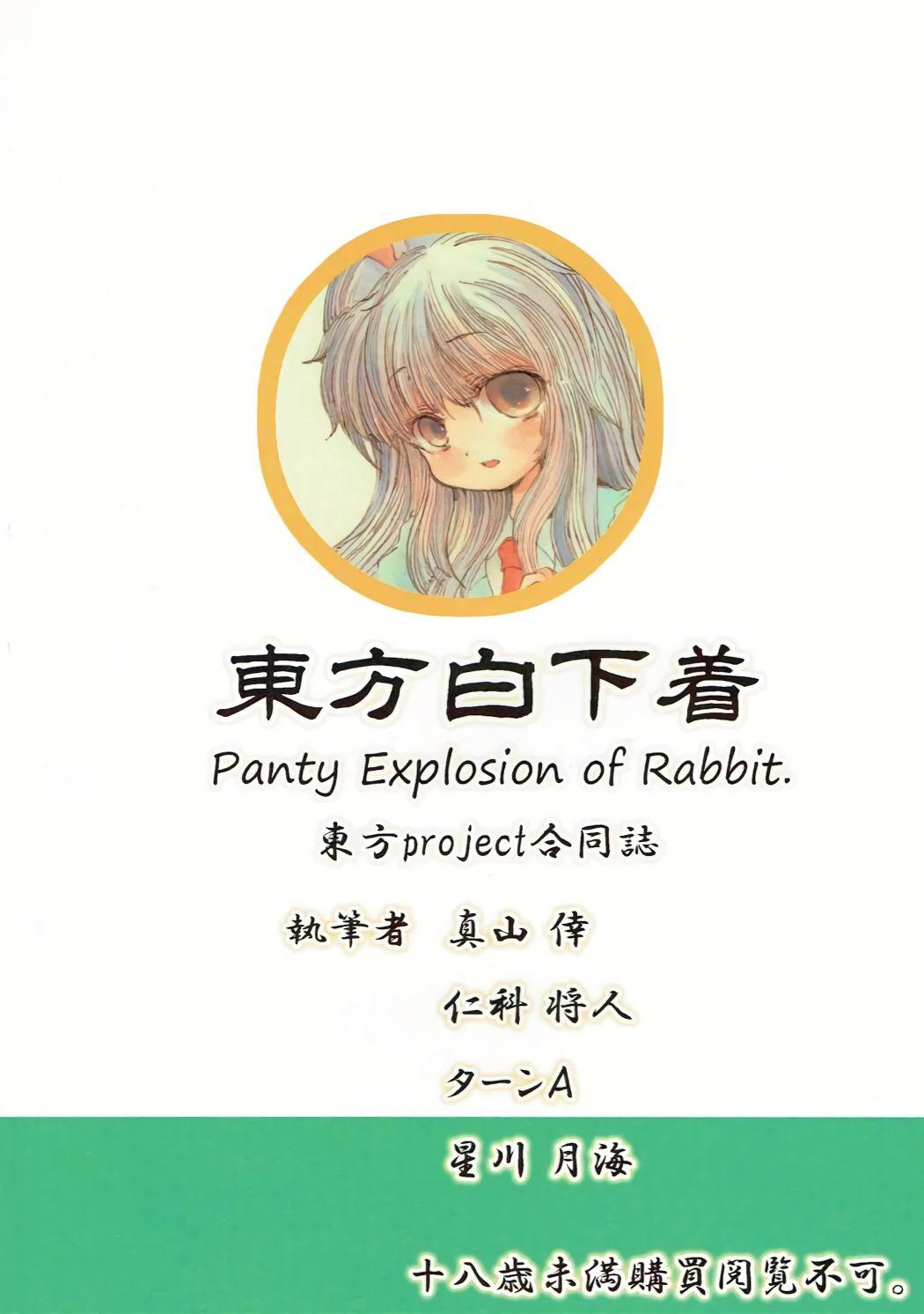 Touhou Shiro Shitagi - Panty Explosion of Rabbit. 21