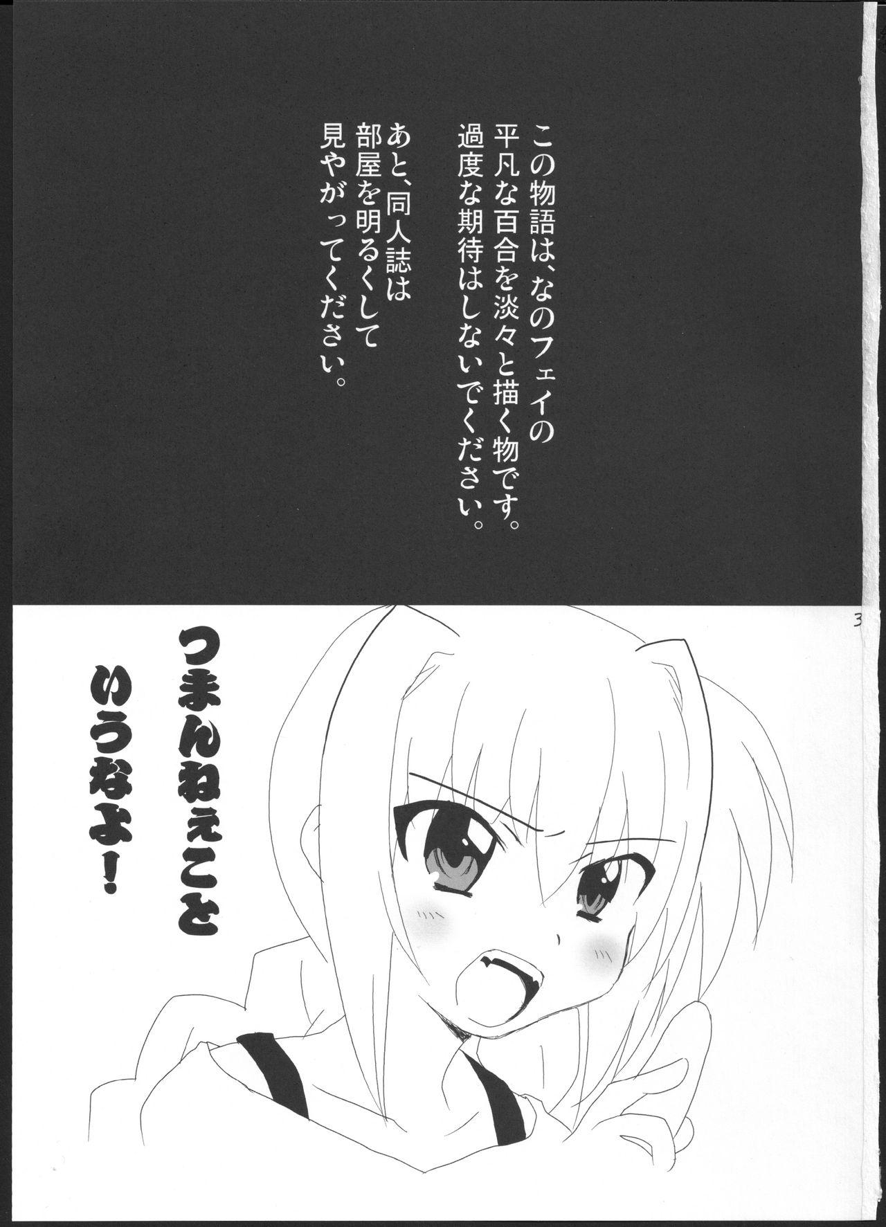 Novia Onnanoko Doushi dakedo Ai sae Areba Kankeinai yo ne - Mahou shoujo lyrical nanoha Stripping - Page 2