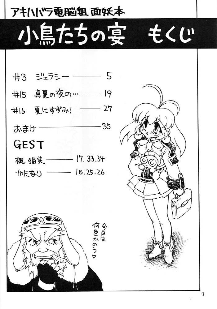 Indian Kotori-tachi no Utage - Akihabara dennou gumi Shoplifter - Page 3