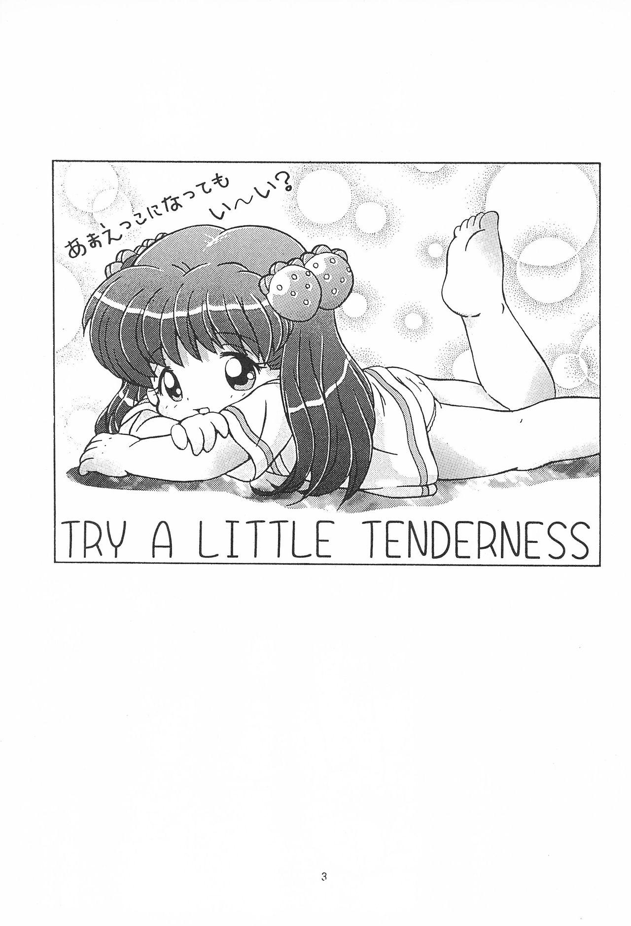 TRY A LITTLE TENDERNESS 4