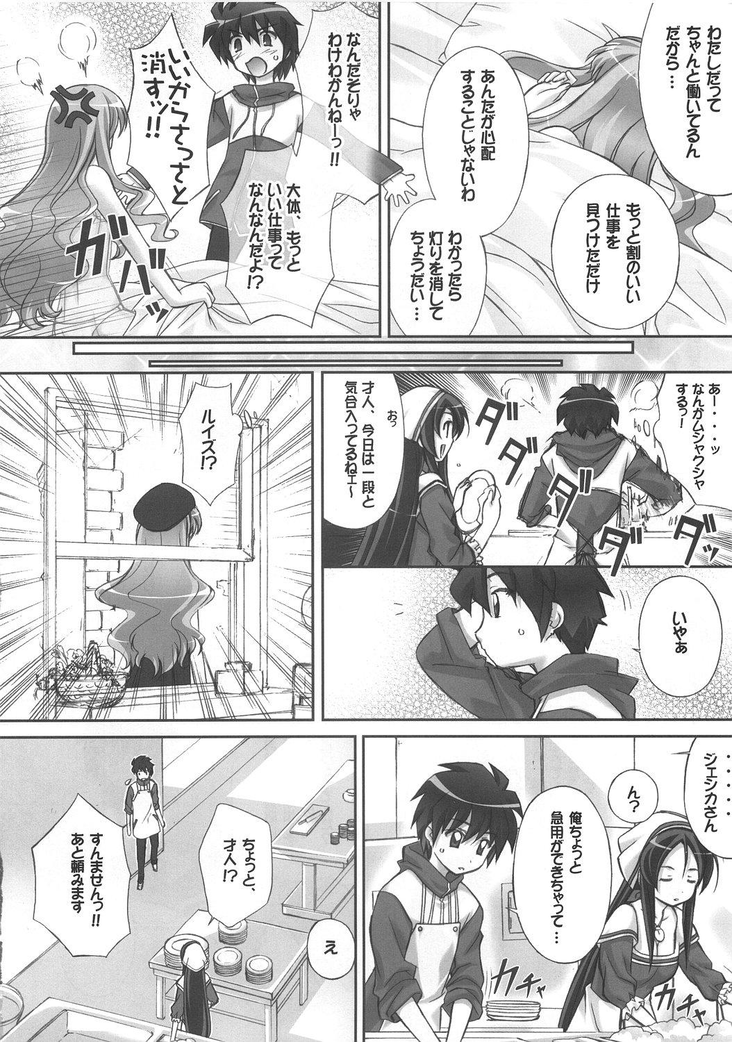 Step Mom Louise no Gotoku! - Zero no tsukaima Older - Page 11