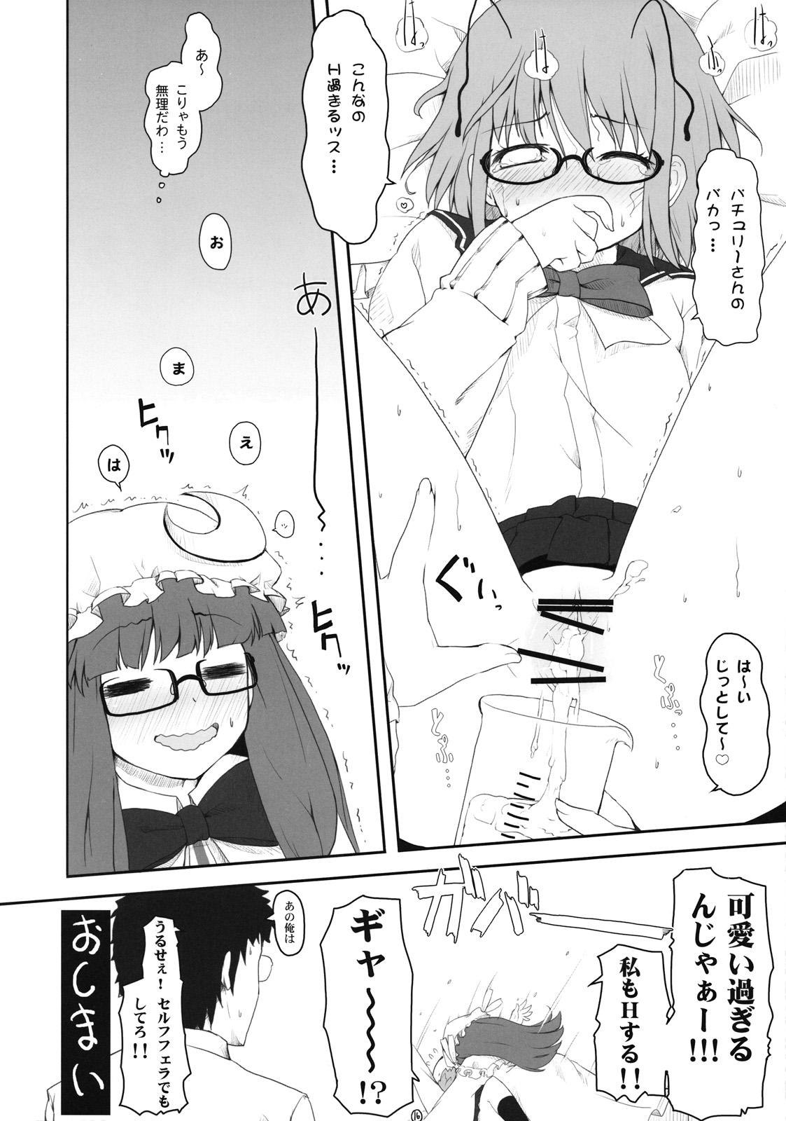 Touhou Megane 14