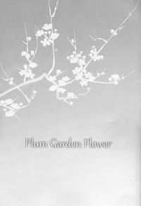 Plum Garden Flower 3