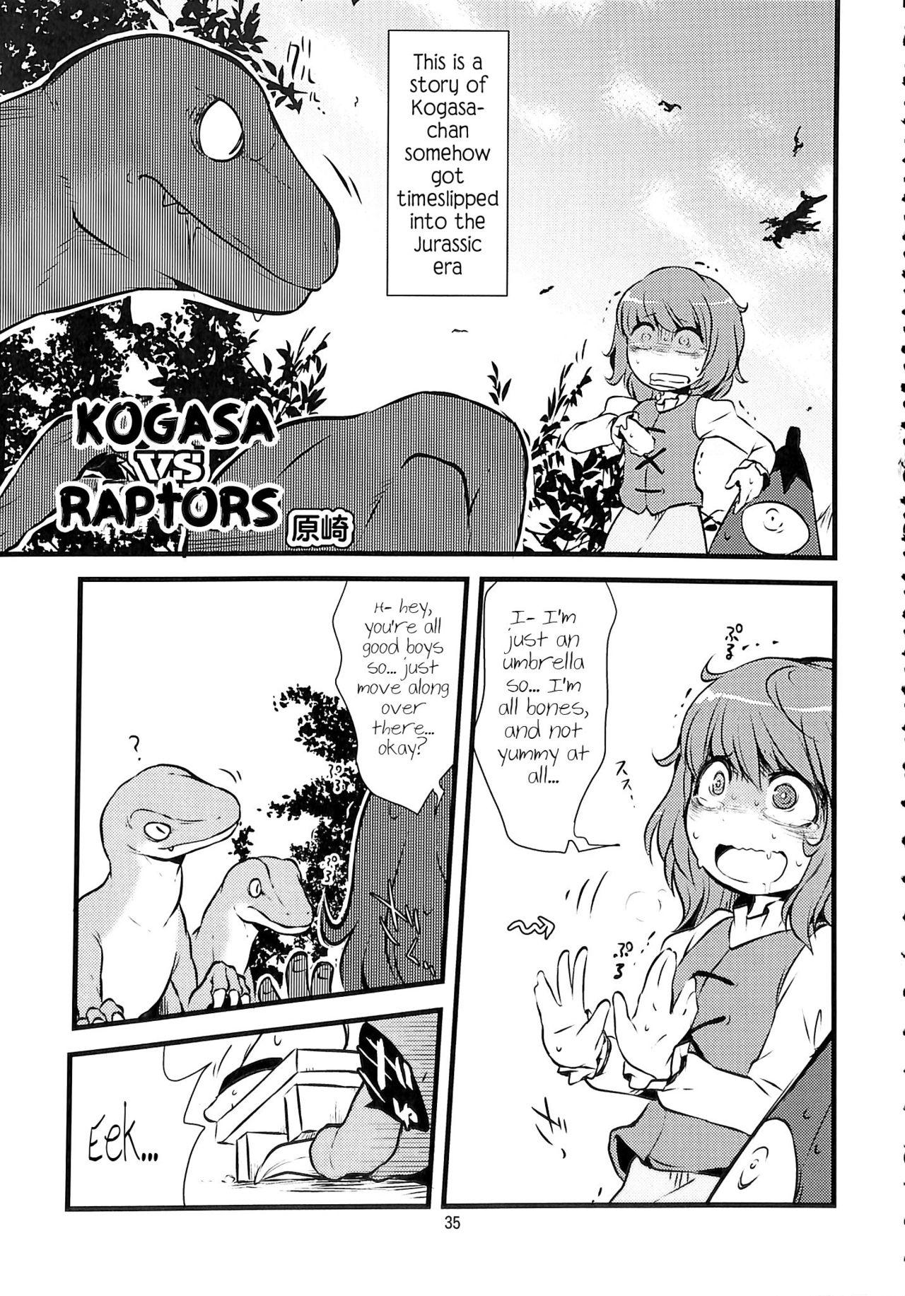 Kogasa VS Raptors 0