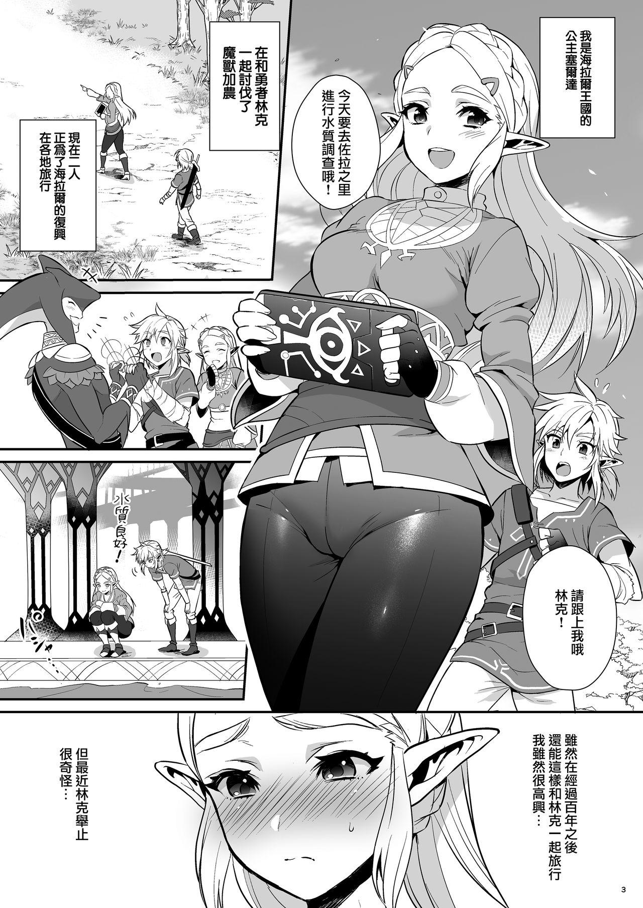 Rough Sex Hyrule Hanei no Tame no Katsudou! - The legend of zelda Gay Public - Page 5