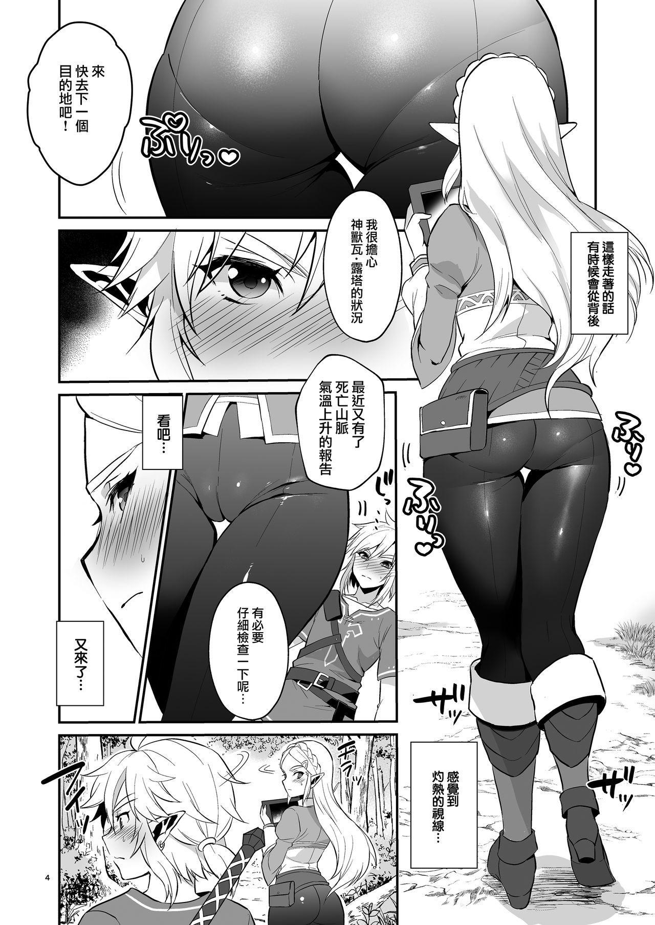 Candid Hyrule Hanei no Tame no Katsudou! - The legend of zelda Sexcams - Page 6