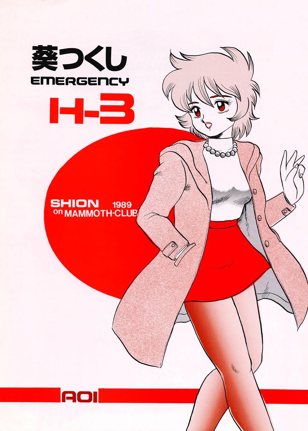 AOI Tsukushi Emergency H3 SHION 1989 0