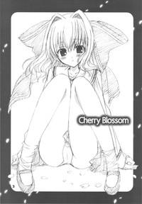 Cherry Blossom 1