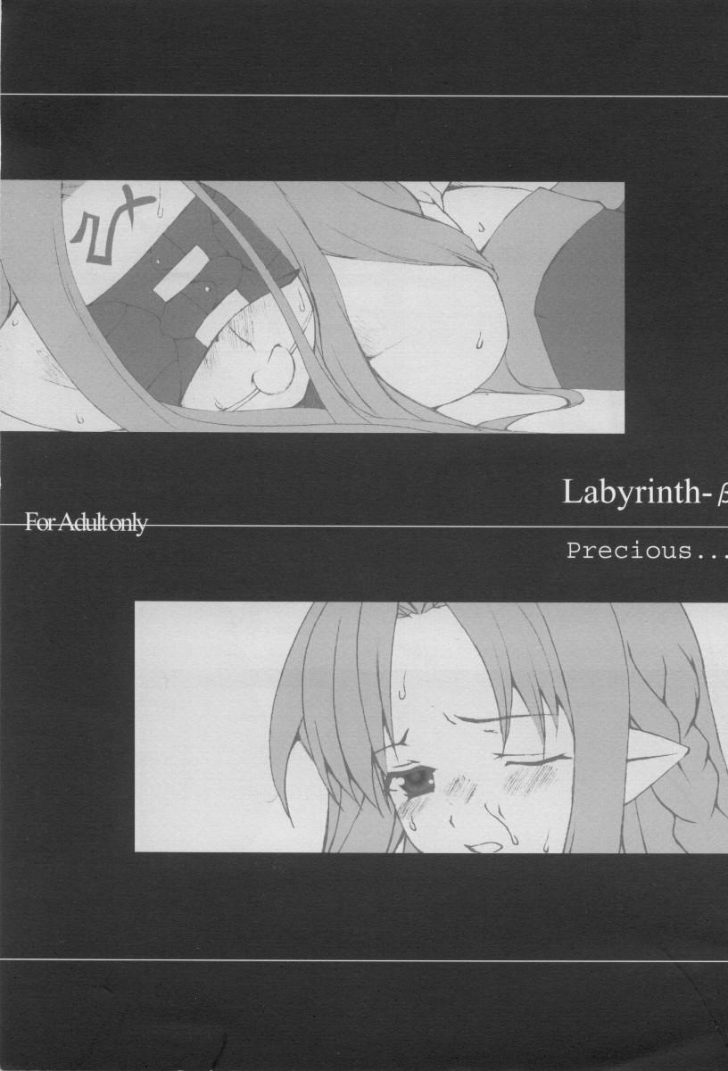 Labyrinth-β 1